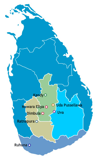 Sri Lankan Tea Regions